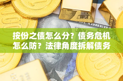 武汉按份之债怎么分？债务危机怎么防？法律角度拆解债务分配与风险自保指南
