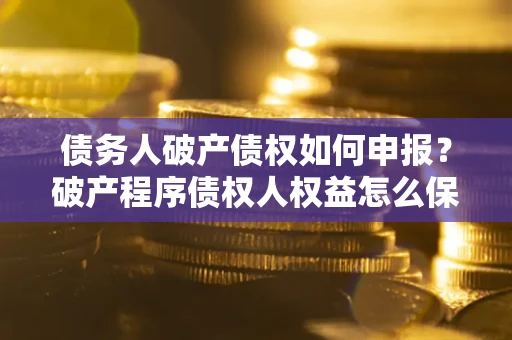 武汉债务人破产债权如何申报？破产程序债权人权益怎么保障？