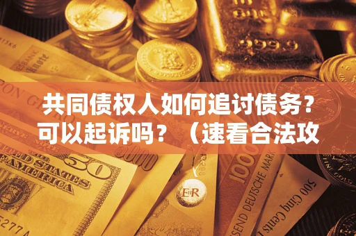 武汉共同债权人如何追讨债务？可以起诉吗？（速看合法攻略）