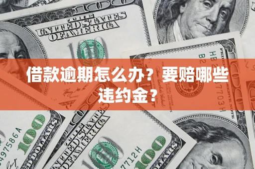武汉借款逾期怎么办？要赔哪些违约金？