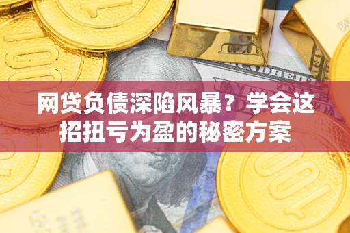 武汉网贷负债深陷风暴？学会这招扭亏为盈的秘密方案