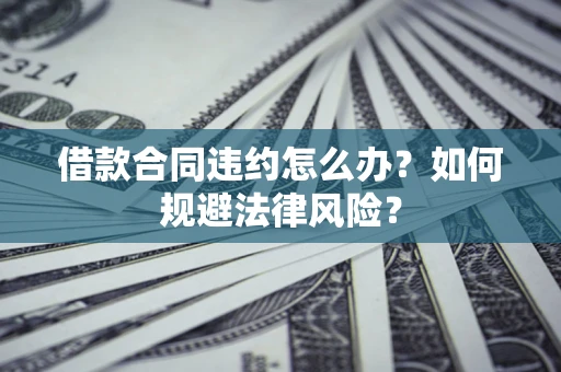 武汉借款合同违约怎么办？如何规避法律风险？